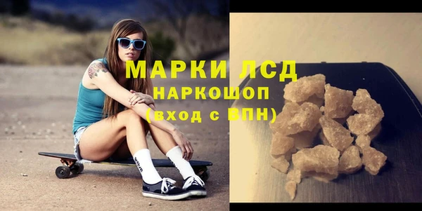 шишки Бердск