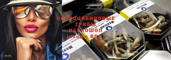 шишки Бердск