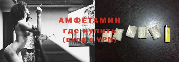 шишки Бердск