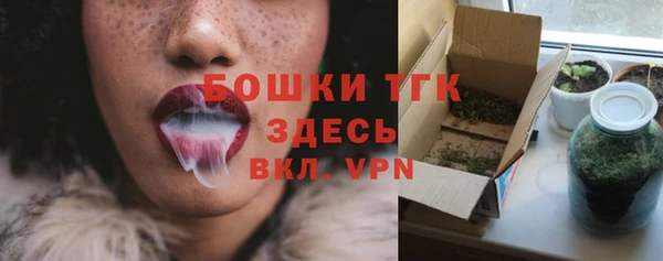 шишки Бердск