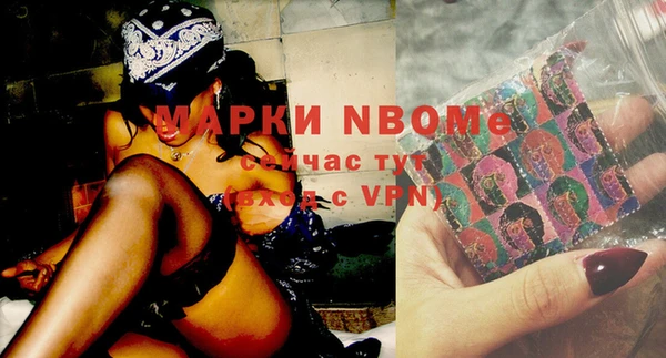 шишки Бердск
