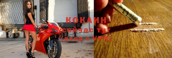 шишки Бердск