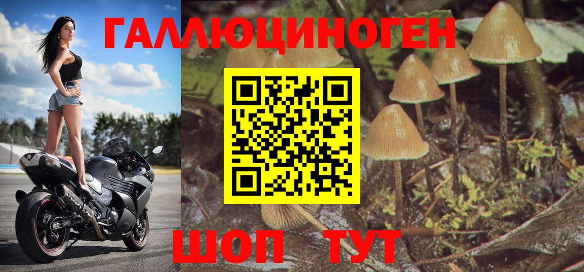 Галлюциногенные грибы мухоморы  Галлюциногенные грибы GOLDEN TEACHER  Биробиджан 