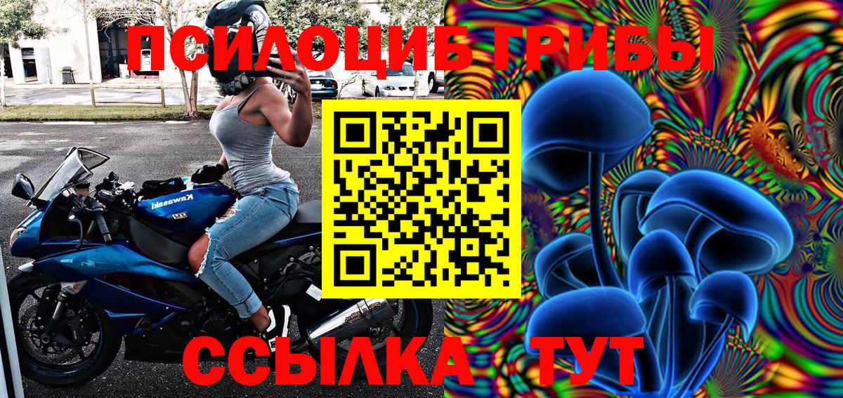Псилоцибиновые грибы Cubensis  Вход с VPN  Биробиджан 