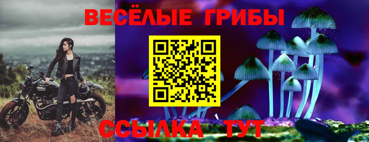 Галлюциногенные грибы Psilocybe Биробиджан