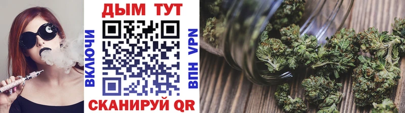 Канабис план  где найти   Биробиджан 